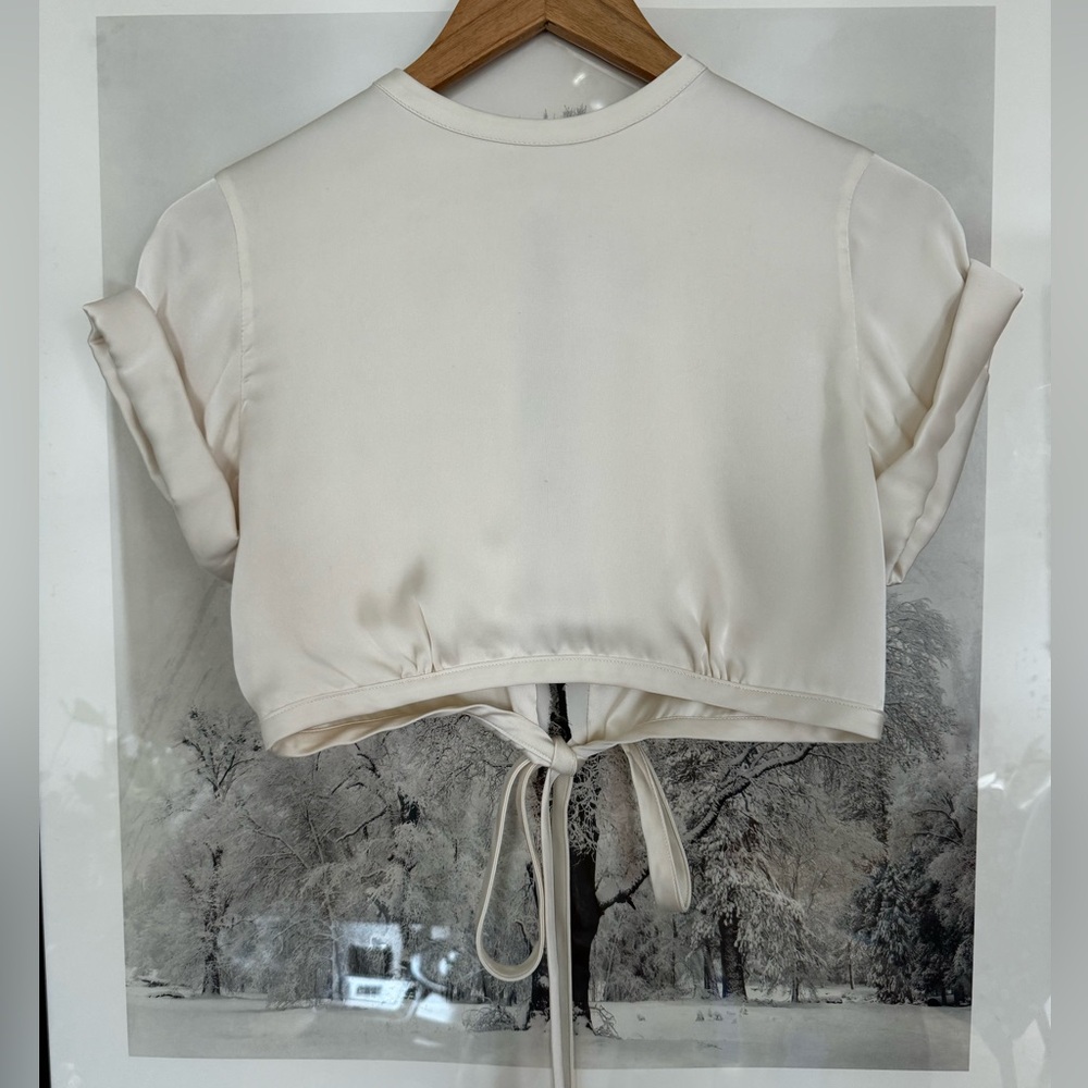 Orseund iris le club crop silk top